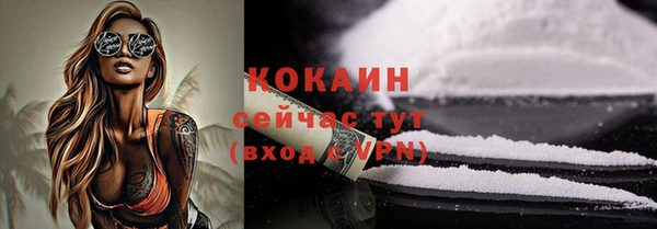 первитин Няндома